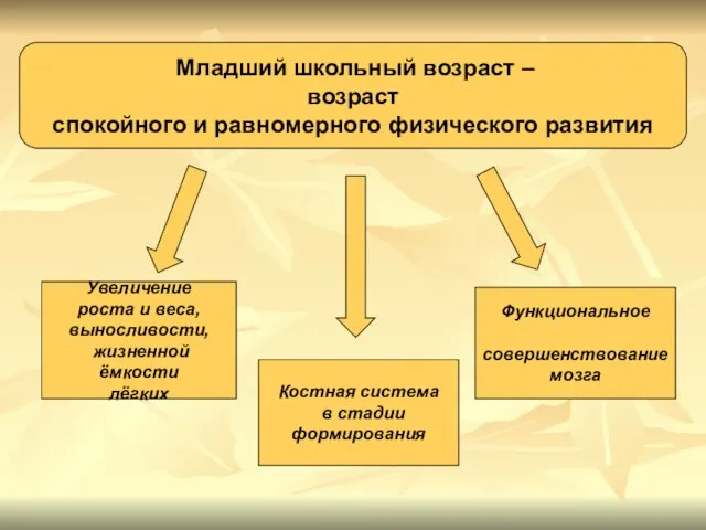 Младший школьный возраст – возраст спокойного и равномерного физического развития Увеличение