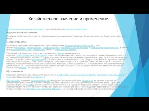 Хозяйственное значение и применение. Алоэ древовидное и алоэ настоящее — распространённые