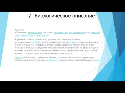 2. Биологическое описание Род Алоэ объединяет многолетние листовые травянистые, кустарниковые или