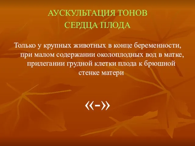 АУСКУЛЬТАЦИЯ ТОНОВ СЕРДЦА ПЛОДА Только у крупных животных в конце беременности,