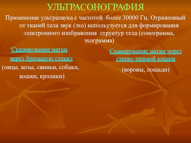 УЛЬТРАСОНОГРАФИЯ Применение ультразвука с частотой более 30000 Гц. Отраженный от тканей