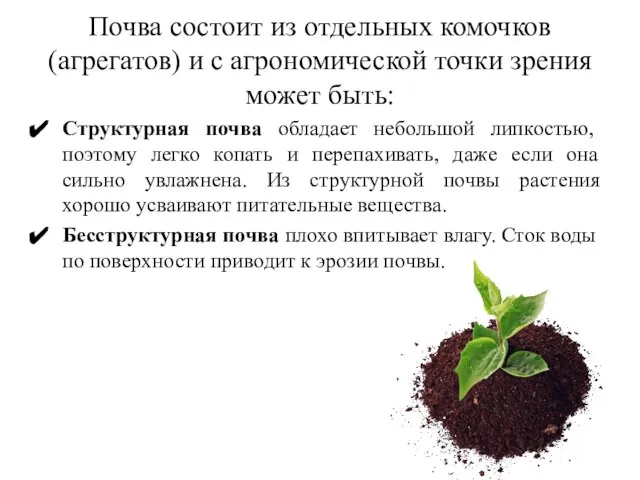 Почва состоит из отдельных комочков (агрегатов) и с агрономической точки зрения
