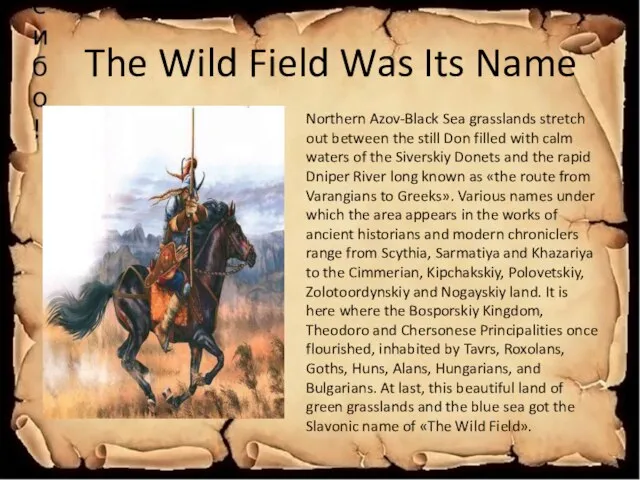 The Wild Field Was Its Name Northern Azov-Black Sea grasslands stretch