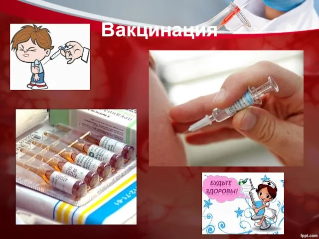 Вакцинация