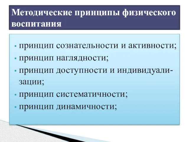 принцип сознательности и активности; принцип наглядности; принцип доступности и индивидуали- зации;