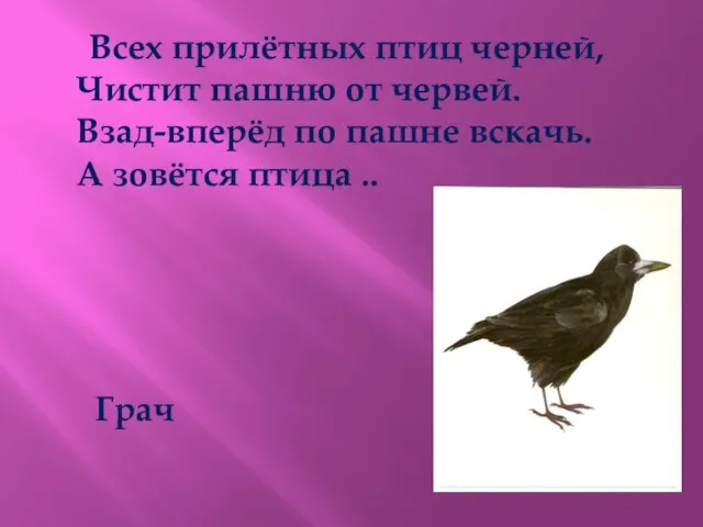 Всех прилётных птиц черней, Чистит пашню от червей. Взад-вперёд по пашне