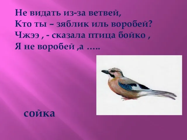 Не видать из-за ветвей, Кто ты – зяблик иль воробей? Чжээ