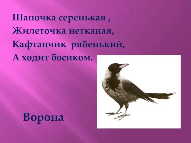 Шапочка серенькая , Жилеточка нетканая, Кафтанчик рябенький, А ходит босиком. Ворона