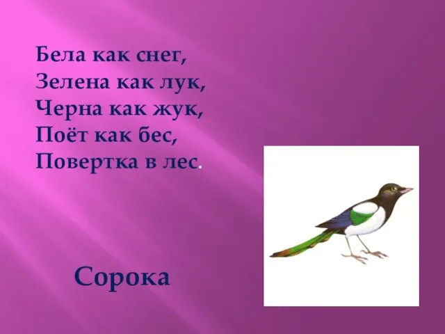 Бела как снег, Зелена как лук, Черна как жук, Поёт как бес, Повертка в лес. Сорока