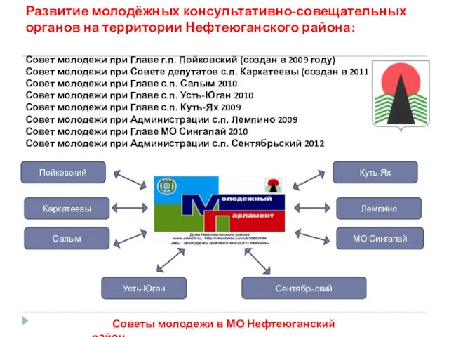 Развитие молодёжных консультативно-совещательных органов на территории Нефтеюганского района: Совет молодежи при