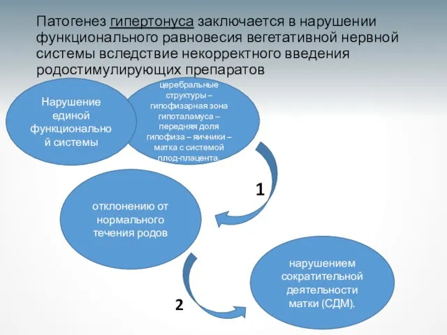 Патогенез гипертонуса заключается в нарушении функционального равновесия вегетативной нервной системы вследствие