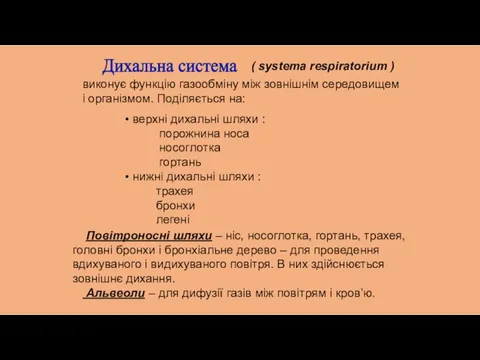 Дихальна система ( systema respiratorium ) виконує функцію газообміну між зовнішнім