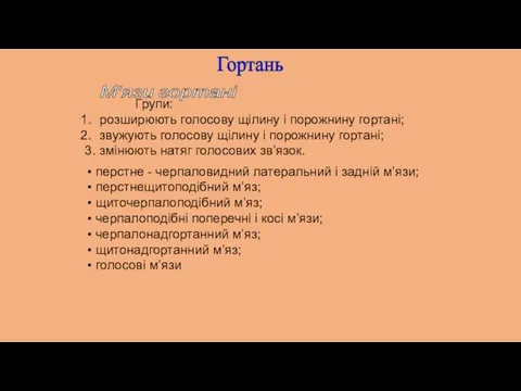 Гортань М'язи гортані Групи: розширюють голосову щілину і порожнину гортані; звужують