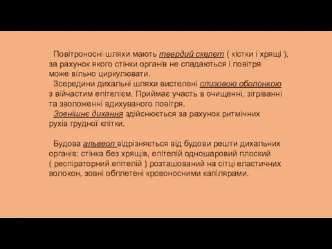 Повітроносні шляхи мають твердий скелет ( кістки і хрящі ), за