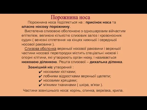 Порожнина носа Порожнина носа поділяється на : присінок носа та власне