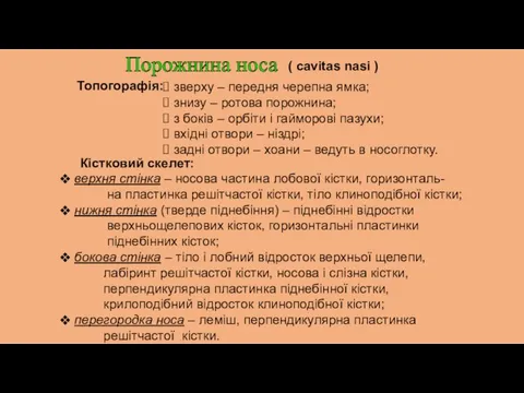 Порожнина носа ( cavitas nasi ) Топогорафія: зверху – передня черепна