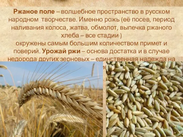 Ржаное поле – волшебное пространство в русском народном творчестве. Именно рожь