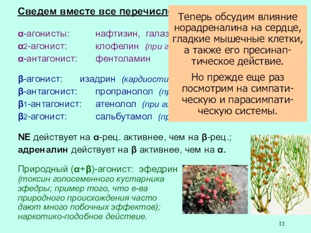 Сведем вместе все перечисленные препараты: α-агонисты: нафтизин, галазолин (при насморке) α2-агонист: