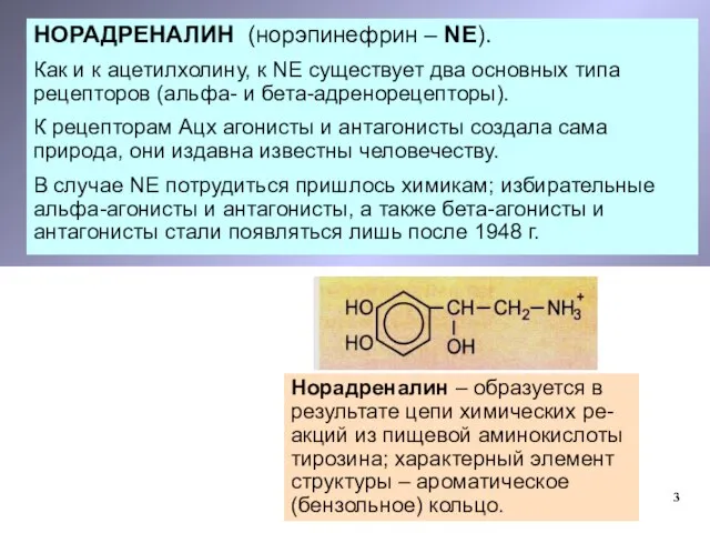 НОРАДРЕНАЛИН (норэпинефрин – NE). Как и к ацетилхолину, к NЕ существует
