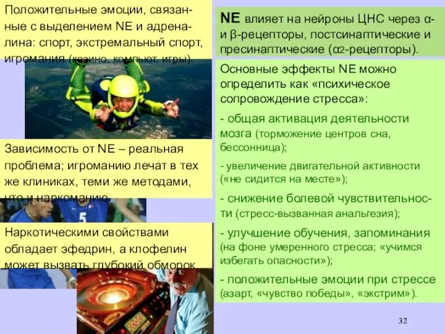 NE влияет на нейроны ЦНС через α- и β-рецепторы, постсинаптические и