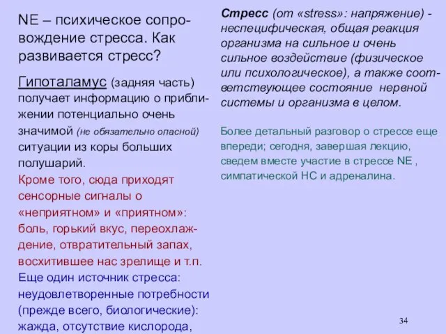 Гипоталамус (задняя часть) получает информацию о прибли-жении потенциально очень значимой (не