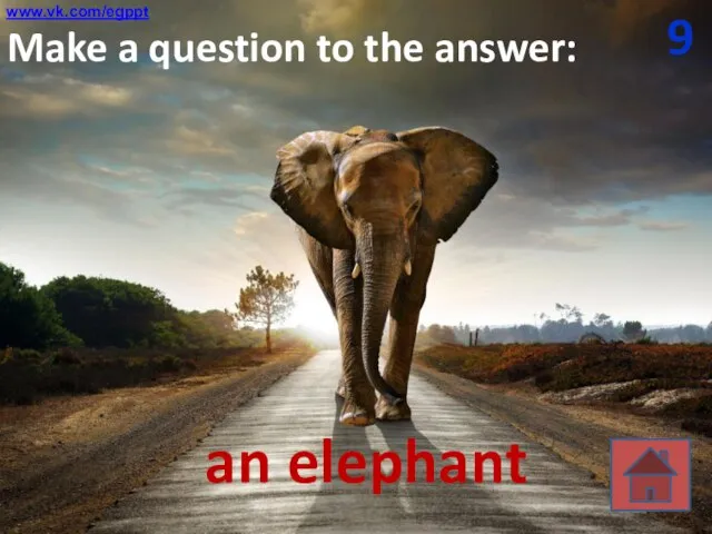 9 Make a question to the answer: an elephant www.vk.com/egppt