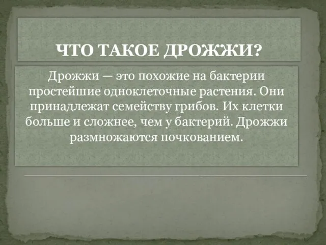 ЧТО ТАКОЕ ДРОЖЖИ? Дрожжи — это похожие на бактерии простейшие одноклеточные