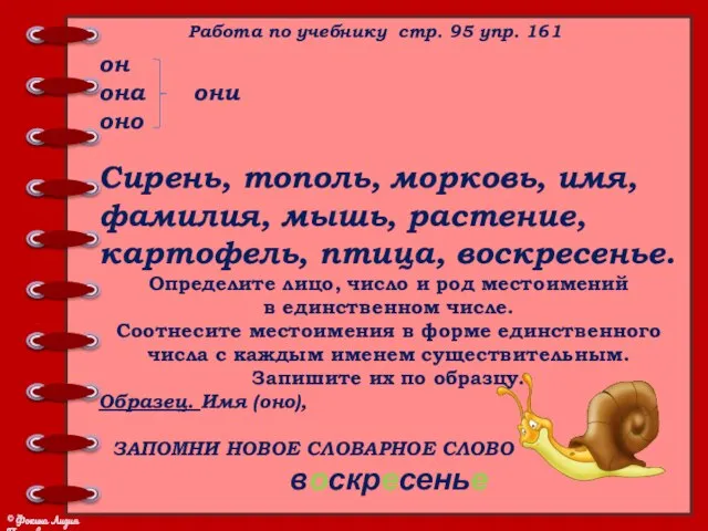 Работа по учебнику стр. 95 упр. 161 он она они оно