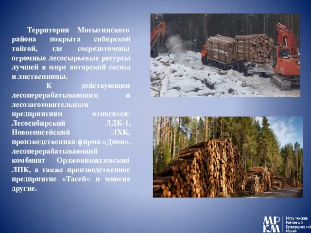 Территория Мотыгинского района покрыта сибирской тайгой, где сосредоточены огромные лесосырьевые ресурсы