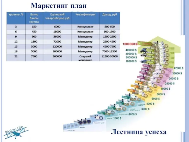 Маркетинг план Лестница успеха