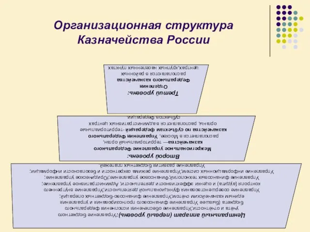 Организационная структура Казначейства России