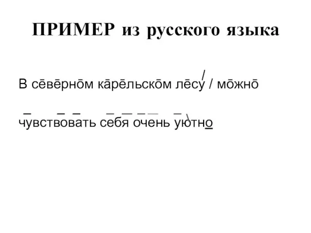 ПРИМЕР из русского языка В сēвēрнōм кāрēльскōм лēсу / мōжнō чувствовать себя очень уютно