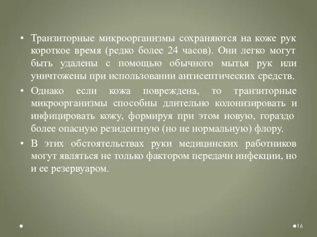 Транзиторные микроорганизмы сохраняются на коже рук короткое время (редко более 24