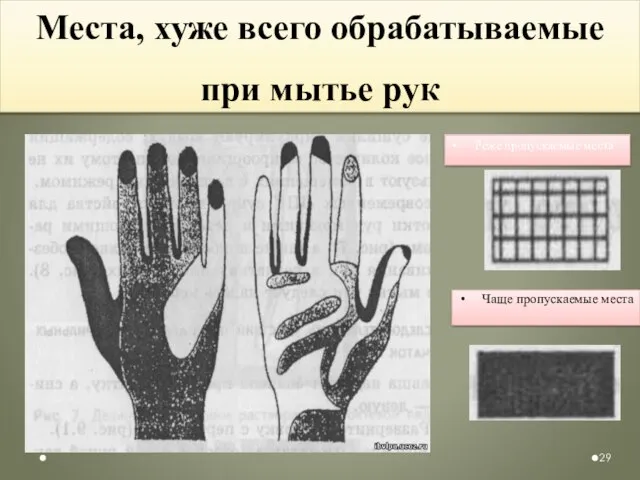 Места, хуже всего обрабатываемые при мытье рук Реже пропускаемые места Чаще пропускаемые места