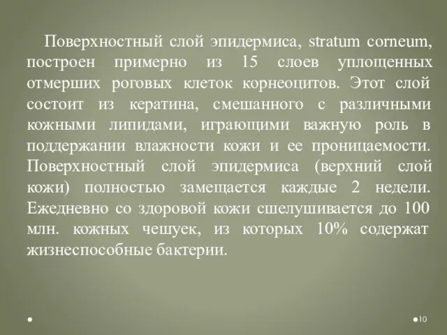 Поверхностный слой эпидермиса, stratum corneum, построен примерно из 15 слоев уплощенных