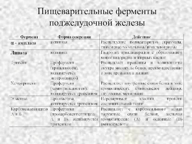 Пищеварительные ферменты поджелудочной железы