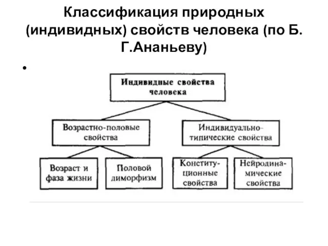 Классификация природных (индивидных) свойств человека (по Б.Г.Ананьеву)