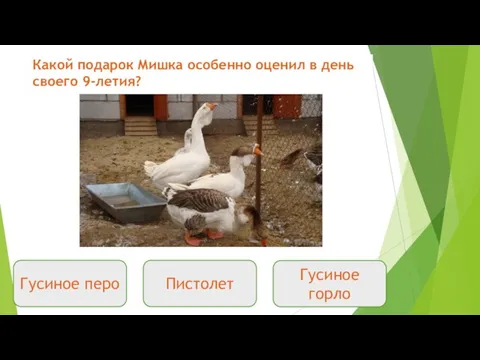 Какой подарок Мишка особенно оценил в день своего 9-летия? Гусиное горло Гусиное перо Пистолет