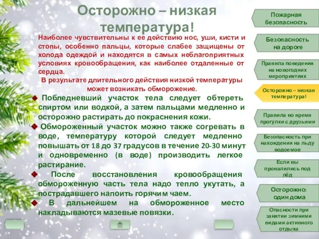 Пожарная безопасность Безопасность на дороге Правила поведения на новогодних мероприятиях Осторожно