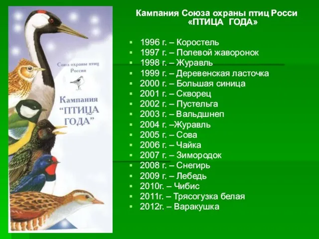 Кампания Союза охраны птиц Росси «ПТИЦА ГОДА» 1996 г. – Коростель