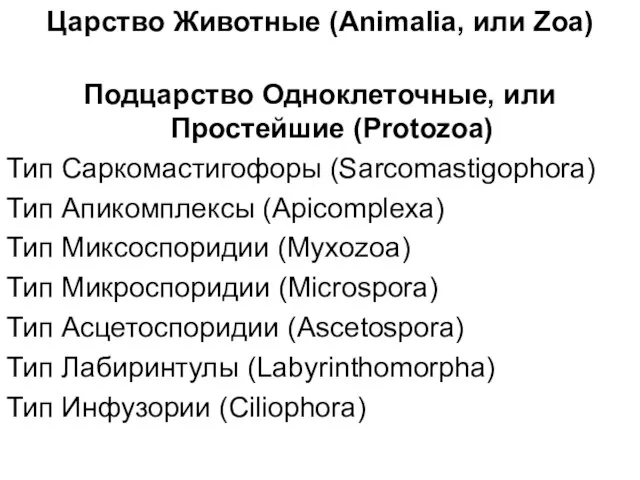 Царство Животные (Animalia, или Zoa) Подцарство Одноклеточные, или Простейшие (Protozoa) Тип