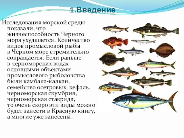 1.Введение Исследования морской среды показали, что жизнеспособность Черного моря ухудшается. Количество