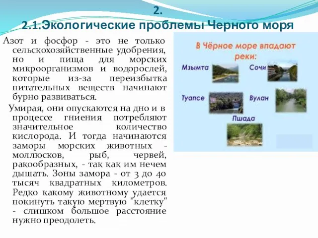 2. 2.1.Экологические проблемы Черного моря Азот и фосфор - это не