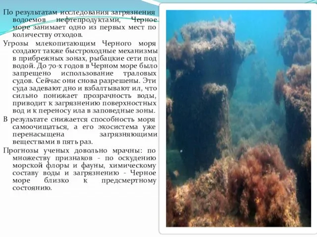 По результатам исследования загрязнения водоемов нефтепродуктами, Черное море занимает одно из