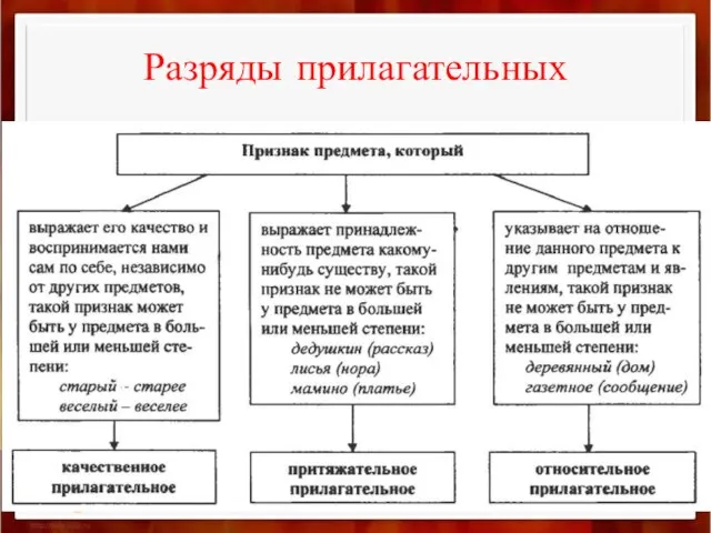 Разряды прилагательных