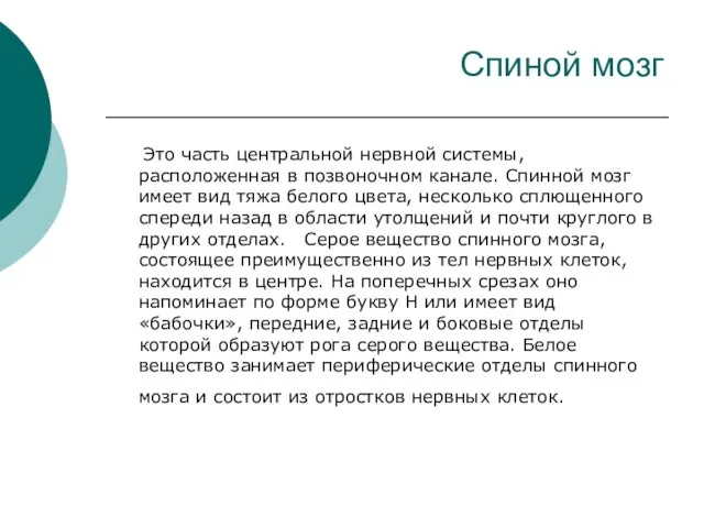 Спиной мозг Это часть центральной нервной системы, расположенная в позвоночном канале.