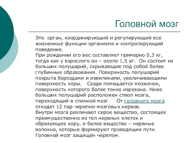 Это орган, координирующий и регулирующий все жизненные функции организма и контролирующий