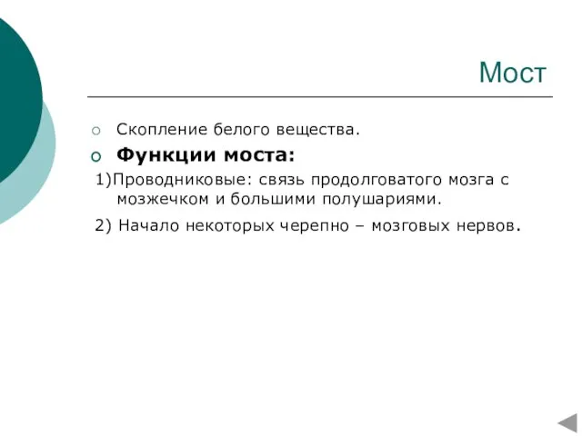 Мост Скопление белого вещества. Функции моста: 1)Проводниковые: связь продолговатого мозга с