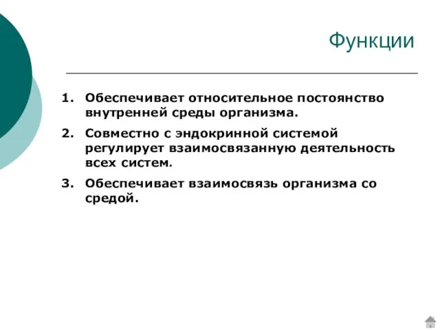 Функции Обеспечивает относительное постоянство внутренней среды организма. Совместно с эндокринной системой