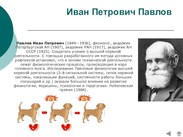 Иван Петрович Павлов Павлов Иван Петрович (1849—1936), физиолог, академик Петербургской АН